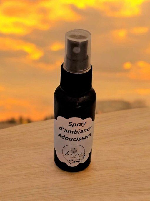 Spray Ambiance 100ml